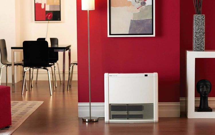 Rinnai AV25PN Gas Heater