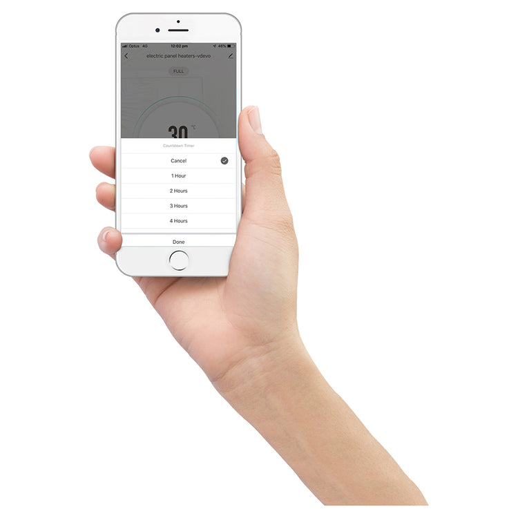 Rinnai BEPH10DTWF 1000 watts Black Glass Electric Panel Heater