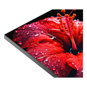 CHiQ 40 Inch M10 Full HD Smart LED Google TV L40M10, Feature 11