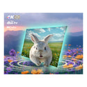 CHiQ U43QM10 43 Inch 4K QLED Google TV