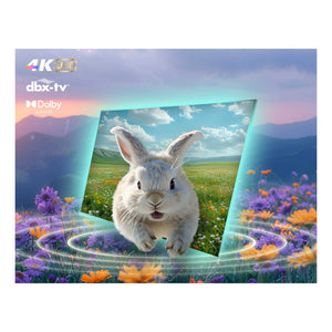 CHiQ 55 Inch 4K QLED Google TV U55QM10, Feature 5