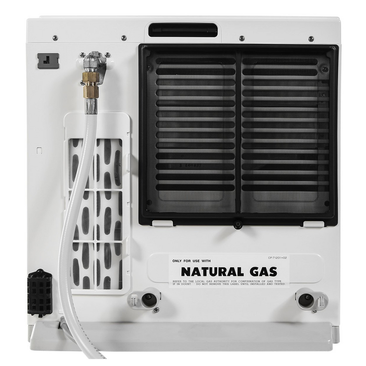 Rinnai DY15N White Dynamo Natural Gas Heater