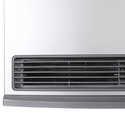 Rinnai DY15SN Silver Dynamo Natural Gas Heater