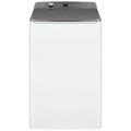 Fisher & Paykel 10Kg Series 5 Top Load Washing Machine WL1064G1, Front View