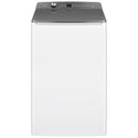Fisher & Paykel 10Kg Series 7 Top Load Washing Machine WL1064P1, Front View