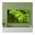 CHiQ L40G7H 41 inch HD Android Smart TV