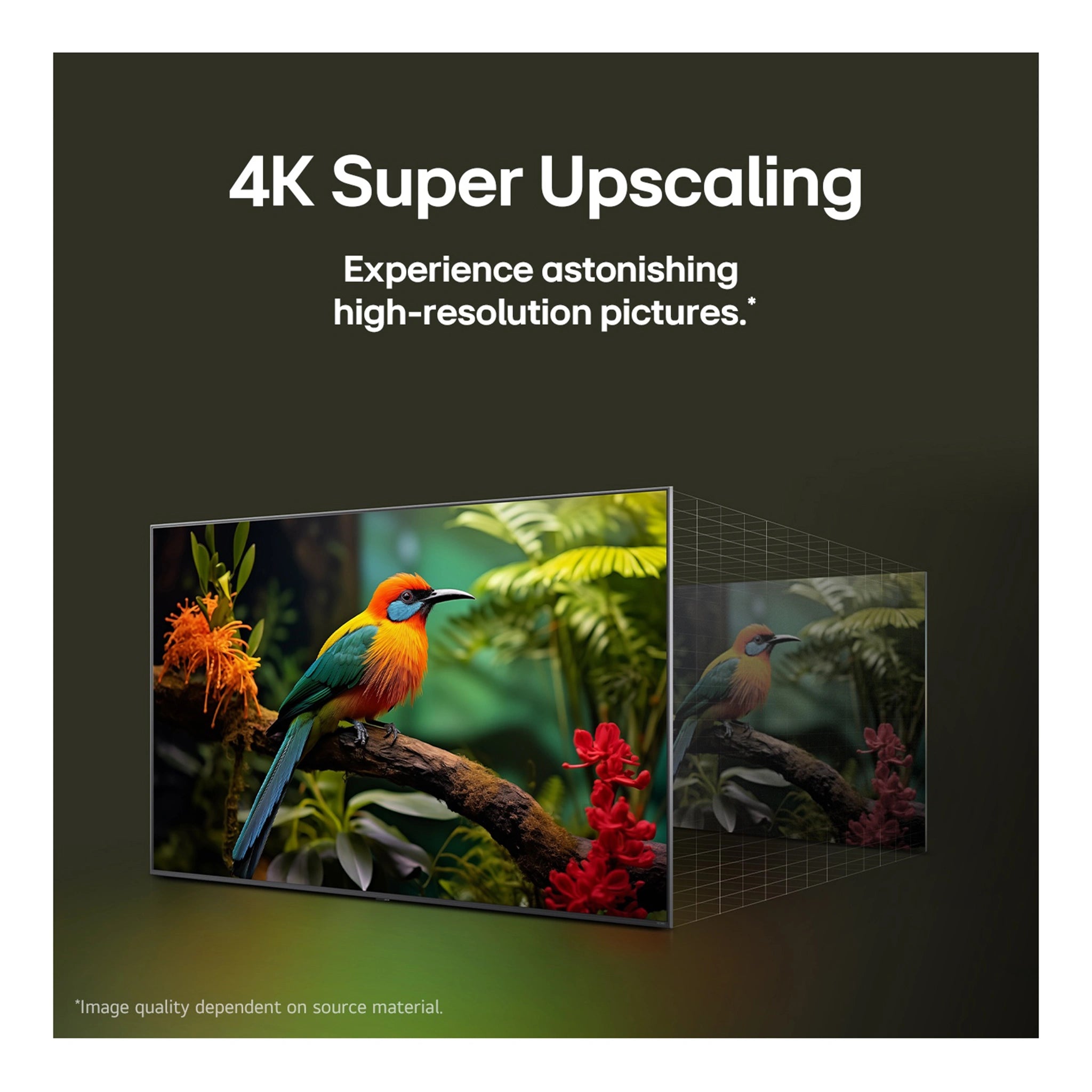 LG 55 Inch QNED AI QNED81 4K Smart TV 55QNED81ASA, Features