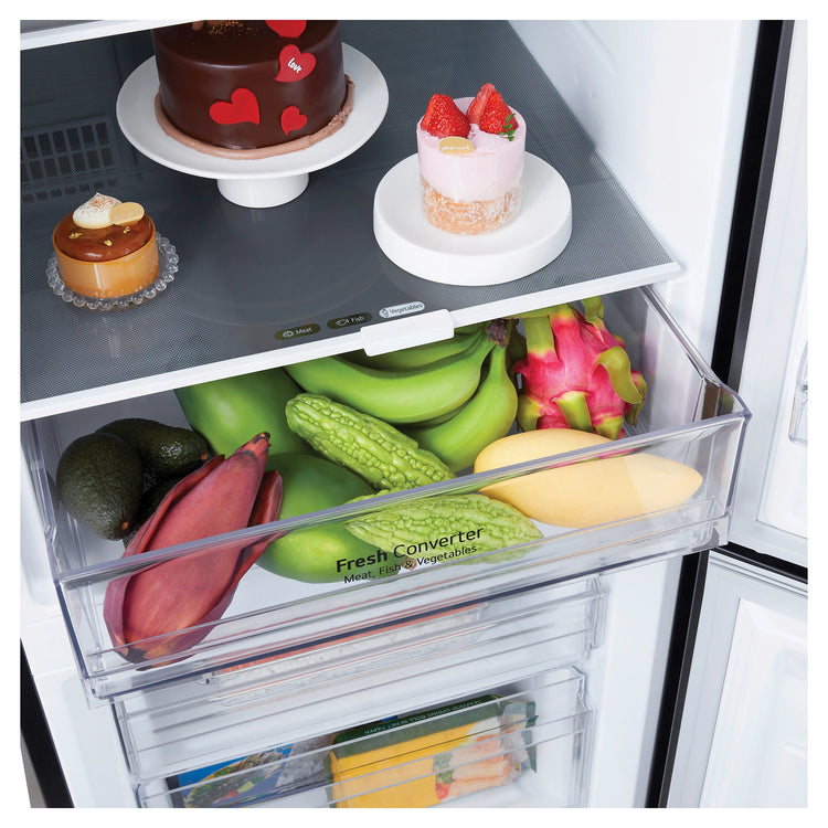 LG 332L Bottom Mount Fridge with Water Dispenser GBW300MBL, Fresh Converter View With Storages