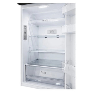 LG 375 L Top Mount Refrigerator GT5W, Inside View
