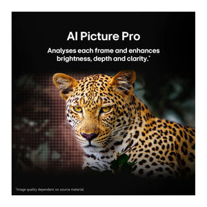 LG 65 Inch G5 OLED Evo Gallery Edition AI TV OLED65G5PSA, Feature