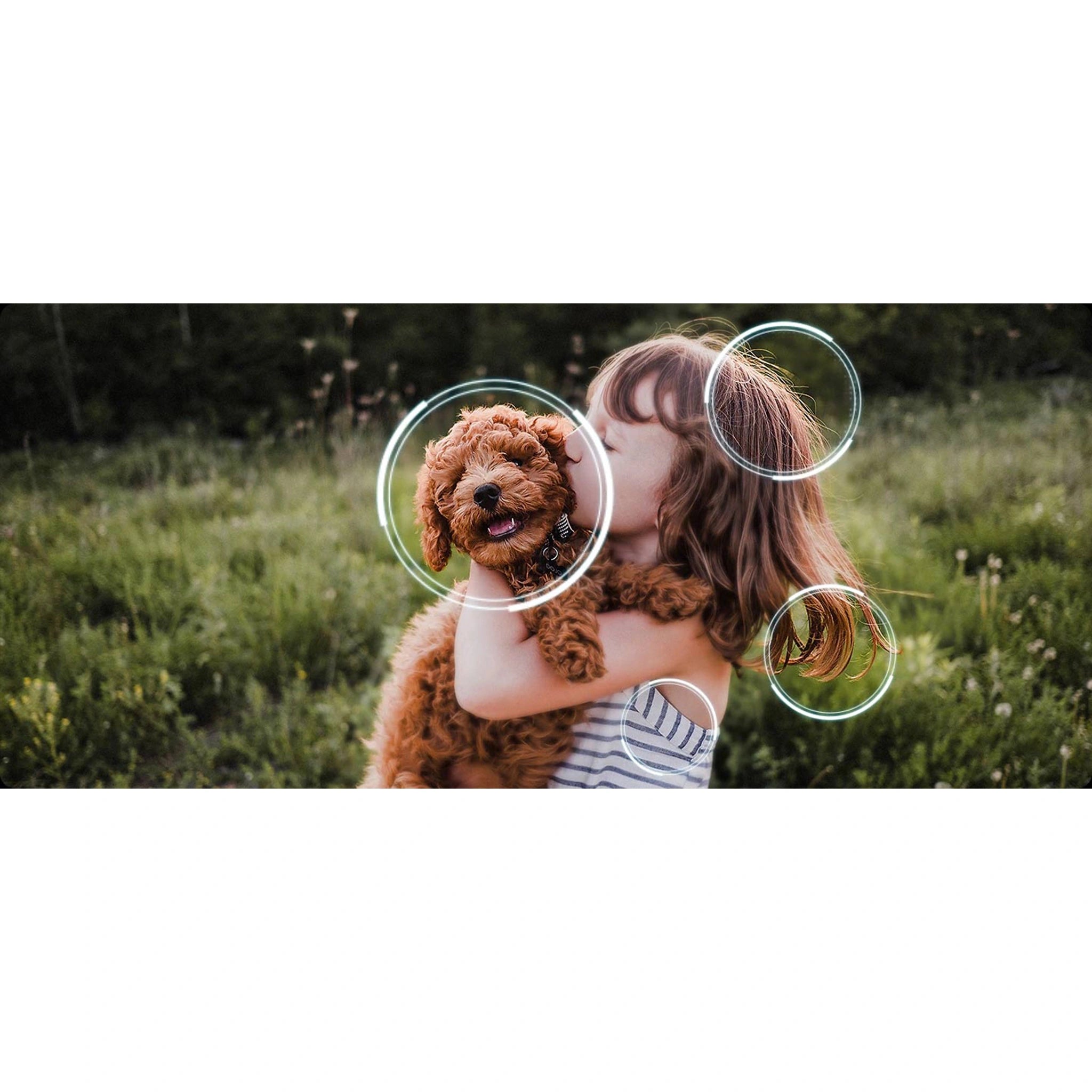 Samsung 55 Inch OLED S90F 4K Vision AI Smart TV QA55S90FAWXXY, Features