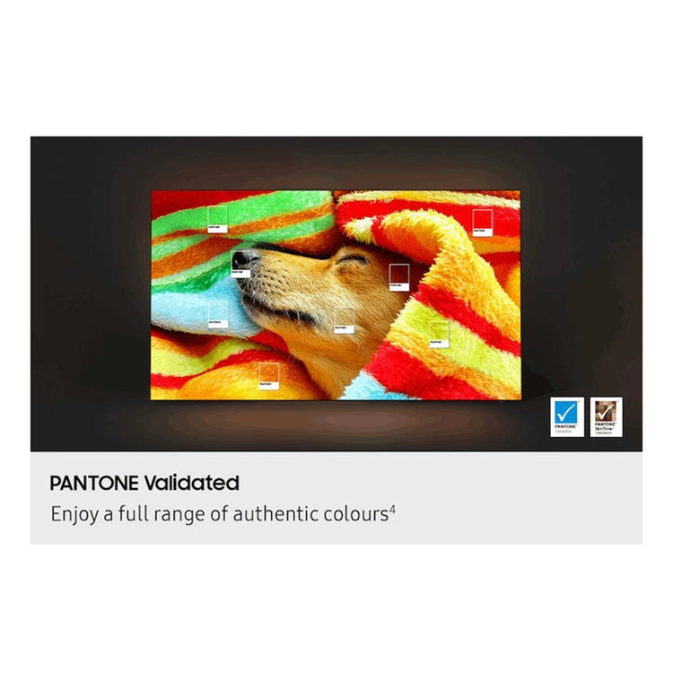 Samsung 77-inch OLED S85F 4K Samsung Vision AI Smart TV QA77S85FAEXXY, Feature 4