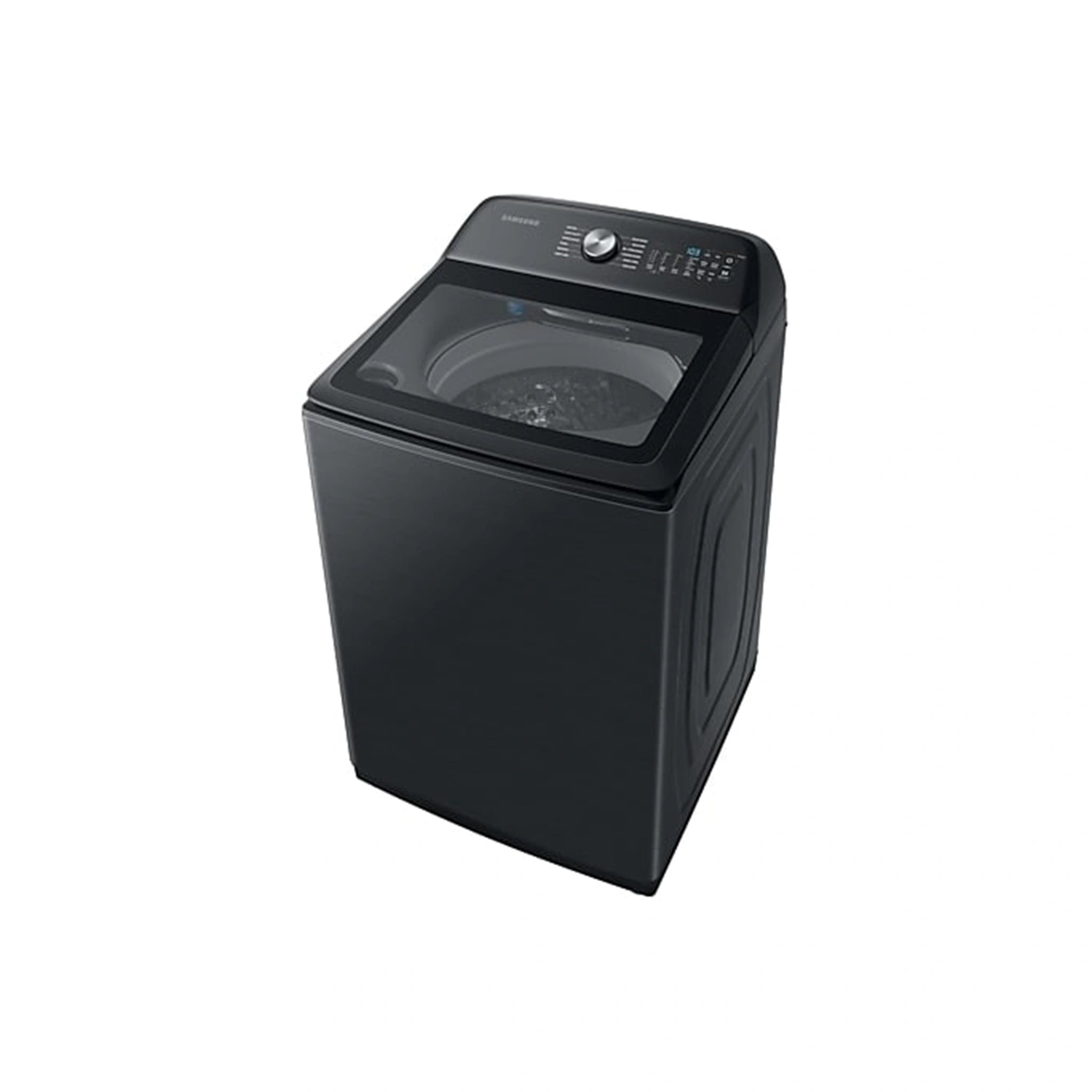 Samsung 12kg Top Load Washer WA12A8376GV, Right Side View 2