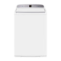 Fisher & Paykel 10kg Top Load Washing Machine WA1068G2, Front view