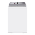 Fisher & Paykel 10kg Top Load Washing Machine WL1068P1, Front view